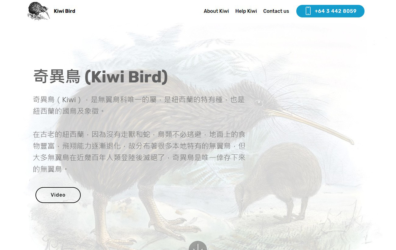 Kiwi Bird 介紹